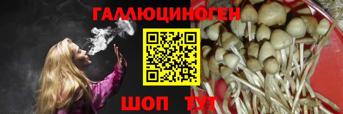 Галлюциногенные грибы Cubensis Барабинск